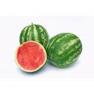 Wassermelone  